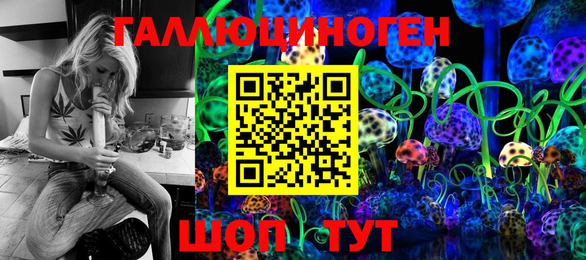 Галлюциногенные грибы Psilocybine cubensis Ессентуки