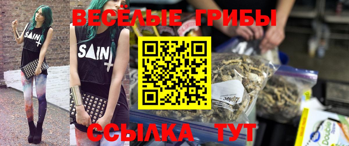 Псилоцибиновые грибы Psilocybine cubensis  Вход с VPN  Ессентуки 